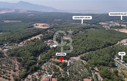 İZMİR BORNOVA ÇİÇEKLİ SINIRINDA | 4.368 m² TEK TAPU ZEYTİNLİK | 160 m² NUMARATAJLI YAPI | ÇİFT KADASTRO YOL CEPHELİ PRESTİJLİ YATIRIM