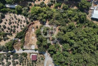 İZMİR BORNOVA ÇİÇEKLİ SINIRINDA | 4.368 m² TEK TAPU ZEYTİNLİK | 160 m² NUMARATAJLI YAPI | ÇİFT KADASTRO YOL CEPHELİ PRESTİJLİ YATIRIM - 1 - 366009