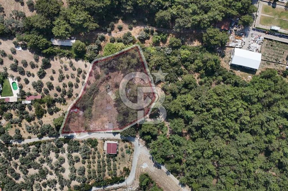 İZMİR BORNOVA ÇİÇEKLİ SINIRINDA | 4.368 m² TEK TAPU ZEYTİNLİK | 160 m² NUMARATAJLI YAPI | ÇİFT KADASTRO YOL CEPHELİ PRESTİJLİ YATIRIM