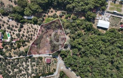 İZMİR BORNOVA ÇİÇEKLİ SINIRINDA | 4.368 m² TEK TAPU ZEYTİNLİK | 160 m² NUMARATAJLI YAPI | ÇİFT KADASTRO YOL CEPHELİ PRESTİJLİ YATIRIM