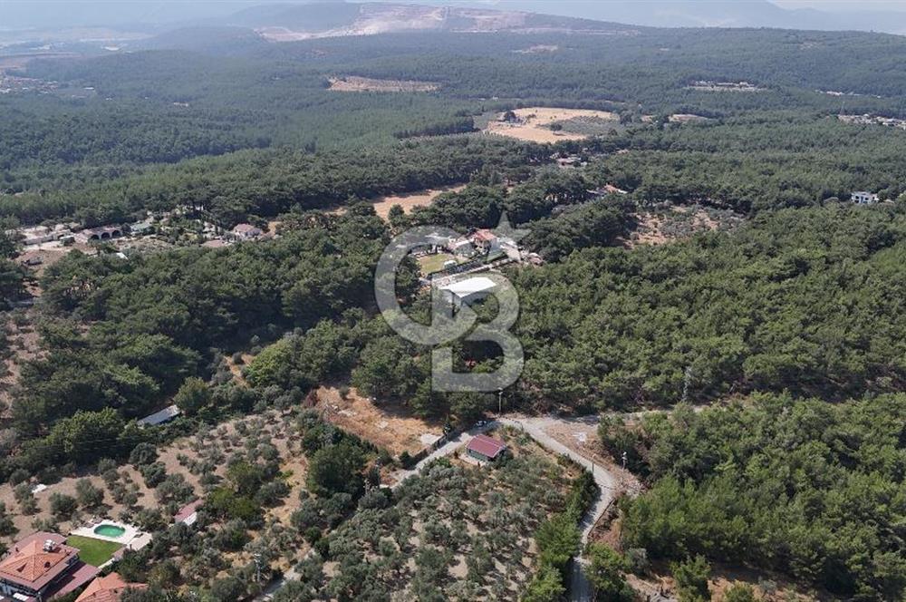 İZMİR BORNOVA ÇİÇEKLİ SINIRINDA | 4.368 m² TEK TAPU ZEYTİNLİK | 160 m² NUMARATAJLI YAPI | ÇİFT KADASTRO YOL CEPHELİ PRESTİJLİ YATIRIM