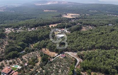 İZMİR BORNOVA ÇİÇEKLİ SINIRINDA | 4.368 m² TEK TAPU ZEYTİNLİK | 160 m² NUMARATAJLI YAPI | ÇİFT KADASTRO YOL CEPHELİ PRESTİJLİ YATIRIM