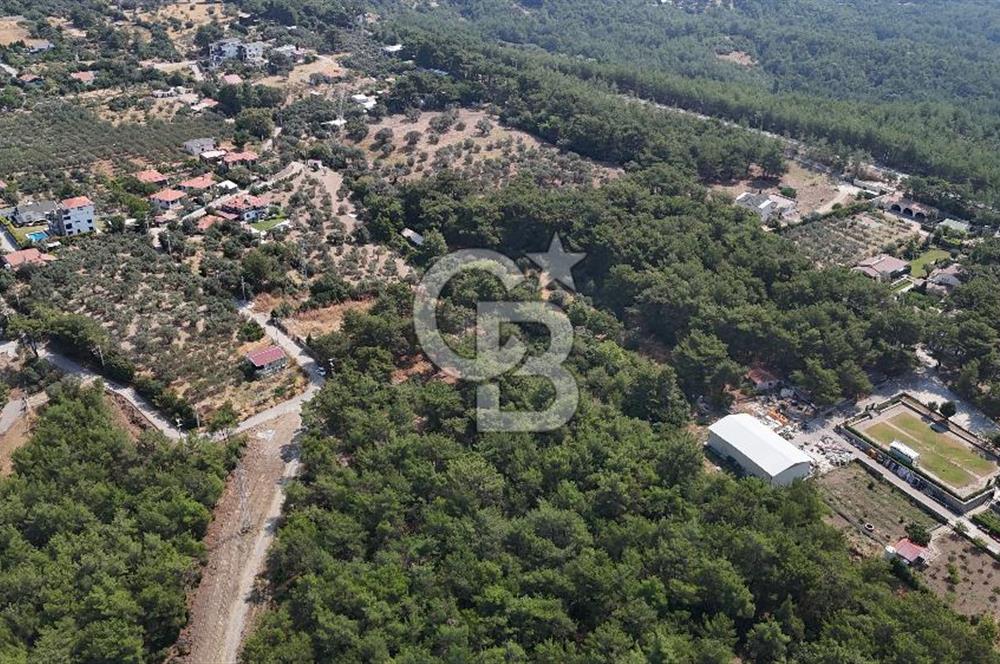 İZMİR BORNOVA ÇİÇEKLİ SINIRINDA | 4.368 m² TEK TAPU ZEYTİNLİK | 160 m² NUMARATAJLI YAPI | ÇİFT KADASTRO YOL CEPHELİ PRESTİJLİ YATIRIM