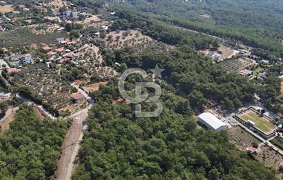 İZMİR BORNOVA ÇİÇEKLİ SINIRINDA | 4.368 m² TEK TAPU ZEYTİNLİK | 160 m² NUMARATAJLI YAPI | ÇİFT KADASTRO YOL CEPHELİ PRESTİJLİ YATIRIM