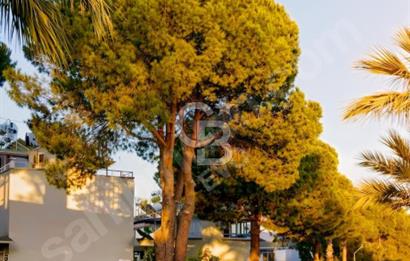 ALANYA TÜRKLER KOCATEPE TATİL SİTESİ DENİZE YAKIN EŞYALI YAZLIK