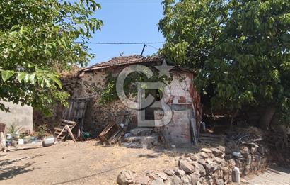 İZMİR DİKİLİ YENİCE KÖYÜ'NDE DOĞAYLA İÇ İÇE YATIRIMLIK TAŞINMAZ