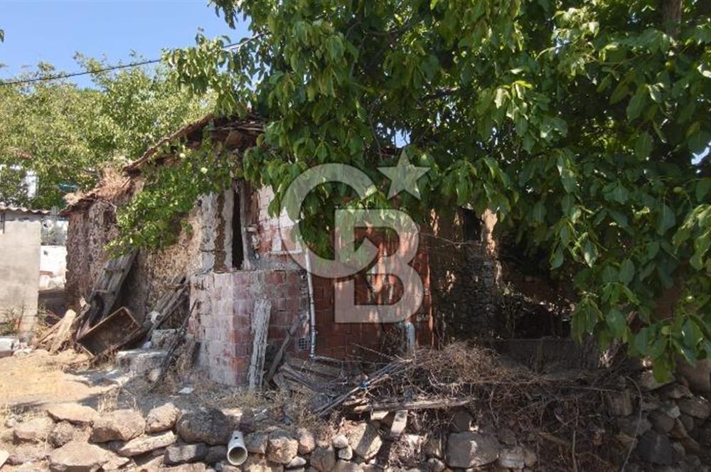 İZMİR DİKİLİ YENİCE KÖYÜ'NDE DOĞAYLA İÇ İÇE YATIRIMLIK TAŞINMAZ
