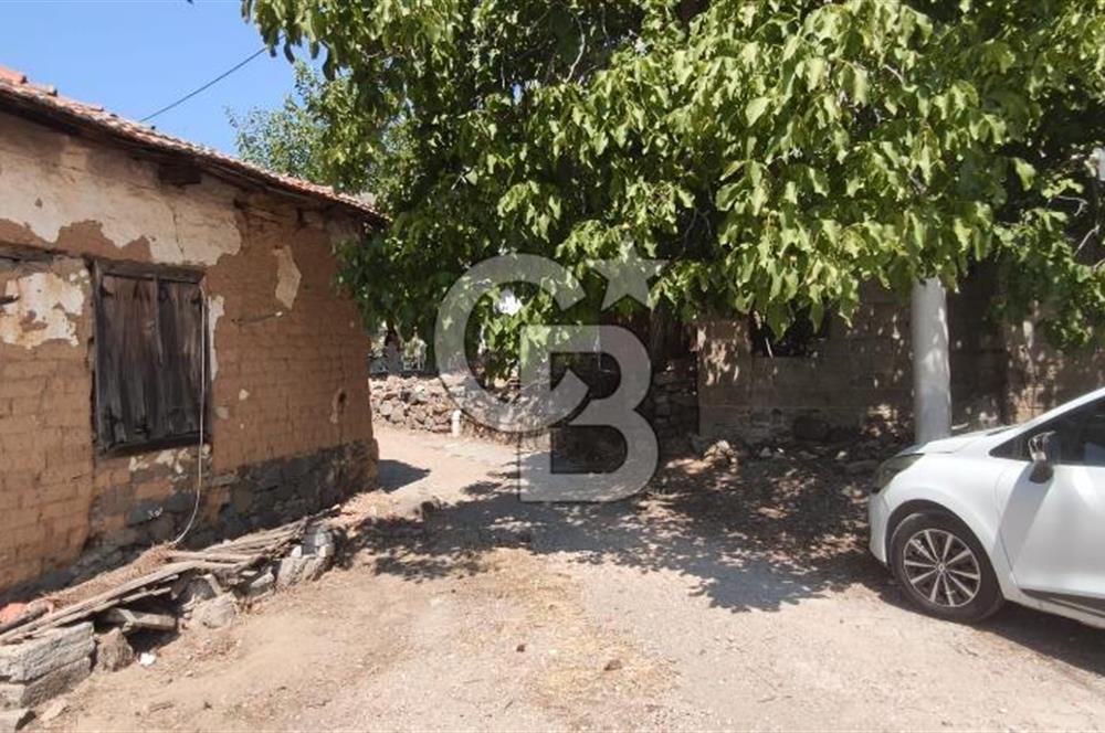 İZMİR DİKİLİ YENİCE KÖYÜ'NDE DOĞAYLA İÇ İÇE YATIRIMLIK TAŞINMAZ