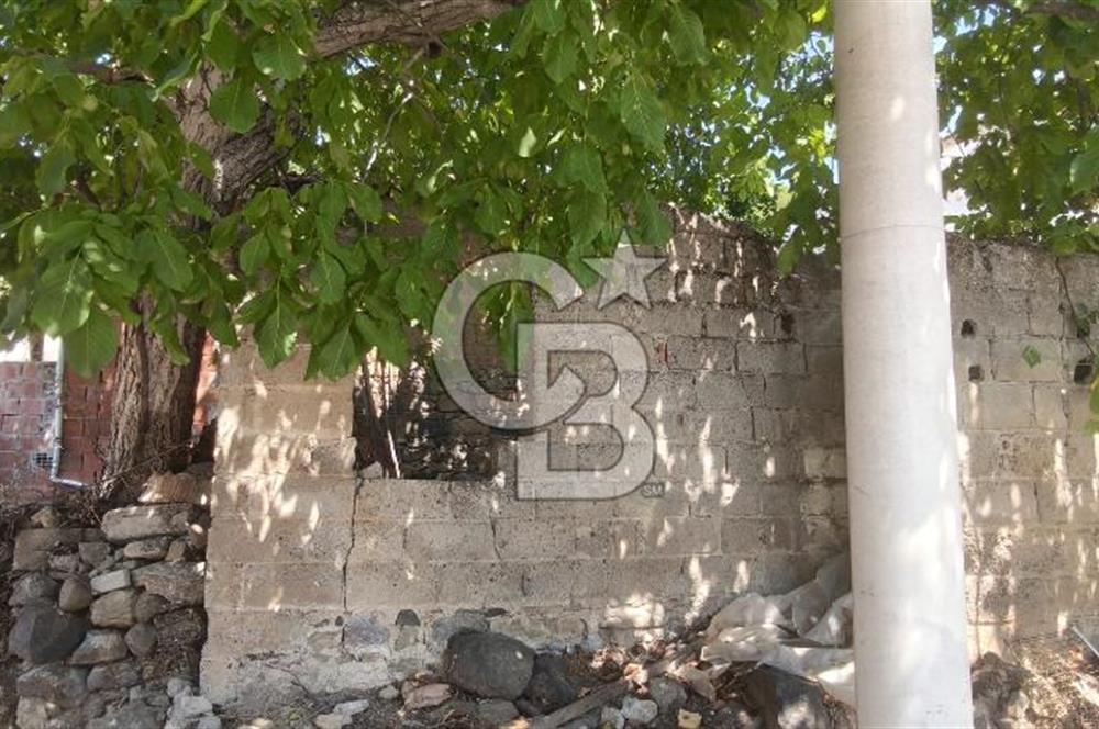 İZMİR DİKİLİ YENİCE KÖYÜ'NDE DOĞAYLA İÇ İÇE YATIRIMLIK TAŞINMAZ