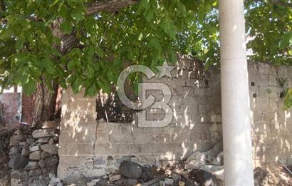 İZMİR DİKİLİ YENİCE KÖYÜ'NDE DOĞAYLA İÇ İÇE YATIRIMLIK TAŞINMAZ