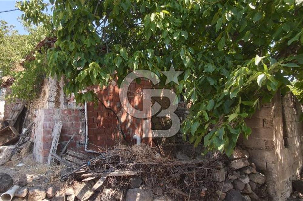İZMİR DİKİLİ YENİCE KÖYÜ'NDE DOĞAYLA İÇ İÇE YATIRIMLIK TAŞINMAZ