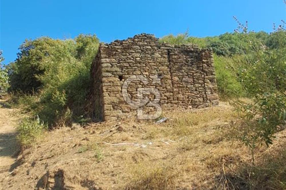 SÖKE NALBANTLARDA SÖKE OVASI MANZARALI 700 M² EV YAPIMINA HAZIR
