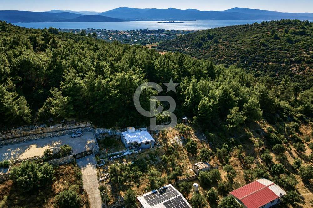 URLA TOROSANDA DENİZE 1.4 KM | ÇAM ORMANINA KOMŞU 5.000 m²