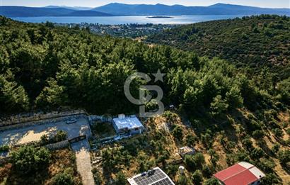 URLA TOROSANDA DENİZE 1.4 KM | ÇAM ORMANINA KOMŞU 5.000 m²