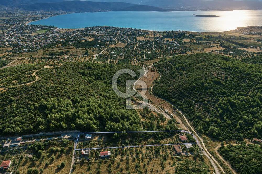 URLA TOROSANDA DENİZE 1.4 KM | ÇAM ORMANINA KOMŞU 5.000 m²