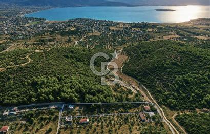 URLA TOROSANDA DENİZE 1.4 KM | ÇAM ORMANINA KOMŞU 5.000 m²