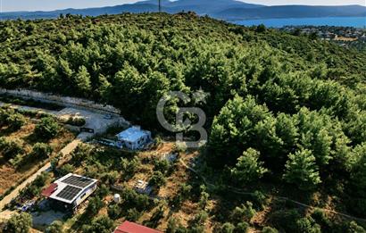 URLA TOROSANDA DENİZE 1.4 KM | ÇAM ORMANINA KOMŞU 5.000 m²