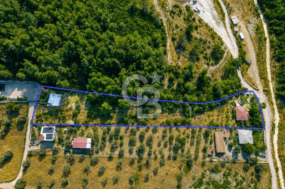 URLA TOROSANDA DENİZE 1.4 KM | ÇAM ORMANINA KOMŞU 5.000 m²
