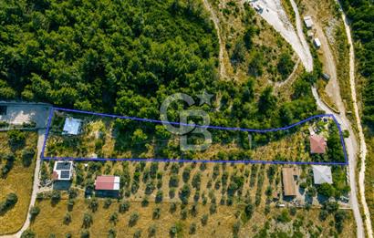 URLA TOROSANDA DENİZE 1.4 KM | ÇAM ORMANINA KOMŞU 5.000 m²