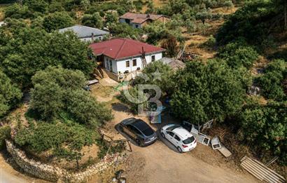 URLA TOROSANDA DENİZE 1.4 KM | ÇAM ORMANINA KOMŞU 5.000 m²