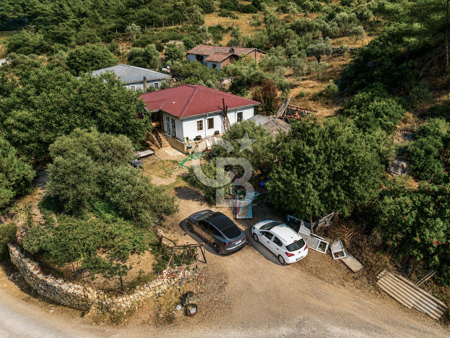 URLA TOROSANDA DENİZE 1.4 KM | ÇAM ORMANINA KOMŞU 5.000 m²