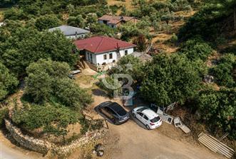 URLA TOROSANDA DENİZE 1.4 KM | ÇAM ORMANINA KOMŞU 5.000 m² - 1 - 366447