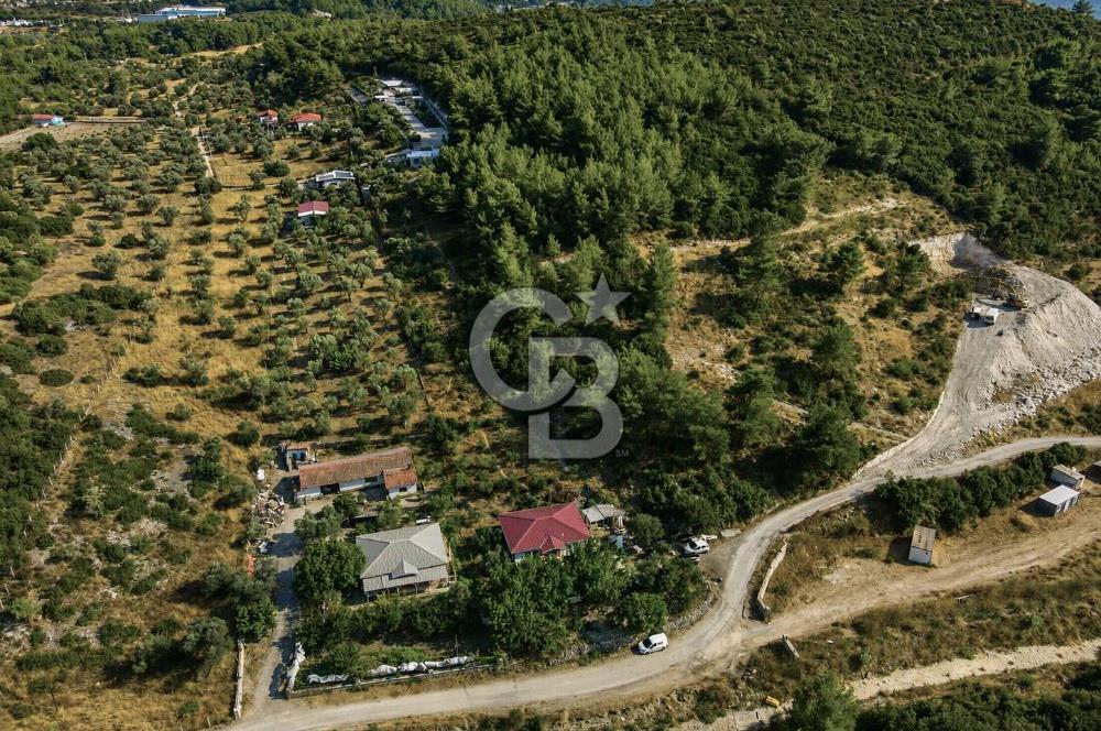 URLA TOROSANDA DENİZE 1.4 KM | ÇAM ORMANINA KOMŞU 5.000 m²