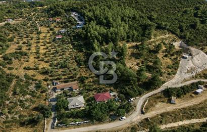 URLA TOROSANDA DENİZE 1.4 KM | ÇAM ORMANINA KOMŞU 5.000 m²