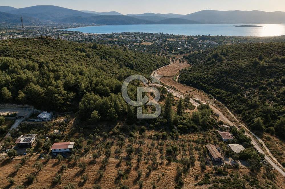 URLA TOROSANDA DENİZE 1.4 KM | ÇAM ORMANINA KOMŞU 5.000 m²