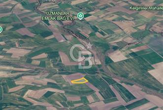 Ergene Bakırcada 9.622 m² Müstakil Tapu/Yatırımlık Fırsat Tarla - 9 - 366605