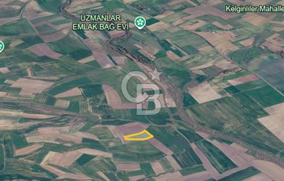 Ergene Bakırcada 9.622 m² Müstakil Tapu/Yatırımlık Fırsat Tarla