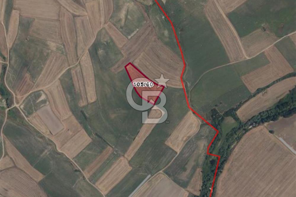 Ergene Bakırcada 9.622 m² Müstakil Tapu/Yatırımlık Fırsat Tarla
