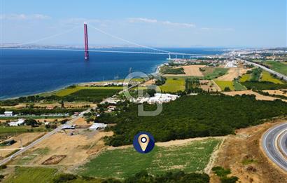 Çanakkale Lapseki Suluca'da Etrafı Orman Boğaz Manzaralı Arazi