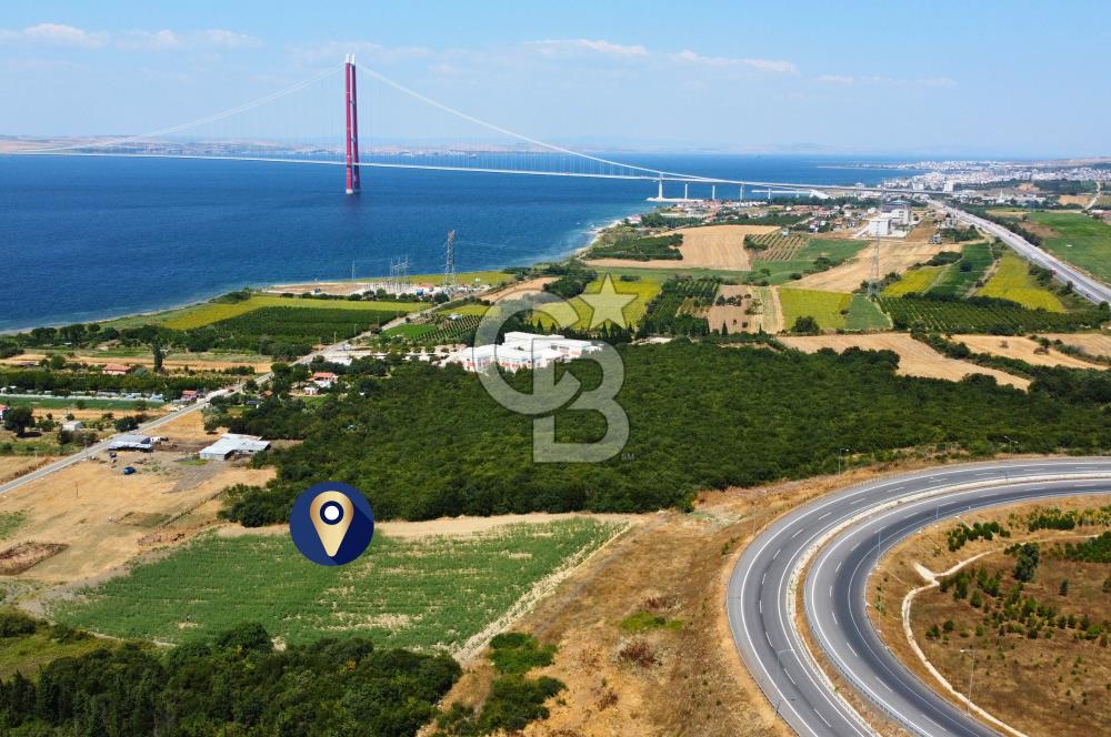 Çanakkale Lapseki Suluca'da Etrafı Orman Boğaz Manzaralı Arazi