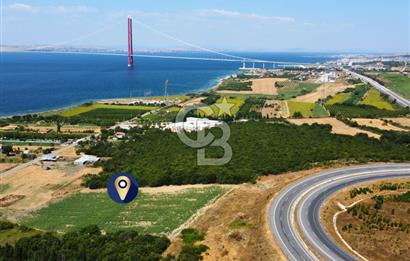 Çanakkale Lapseki Suluca'da Etrafı Orman Boğaz Manzaralı Arazi