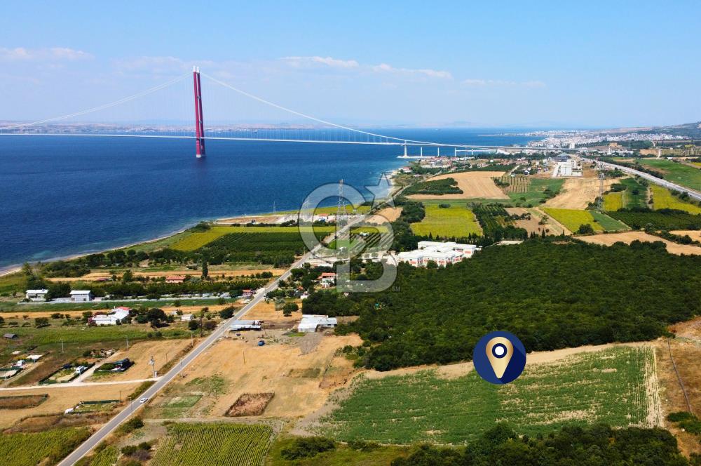Çanakkale Lapseki Suluca'da Etrafı Orman Boğaz Manzaralı Arazi