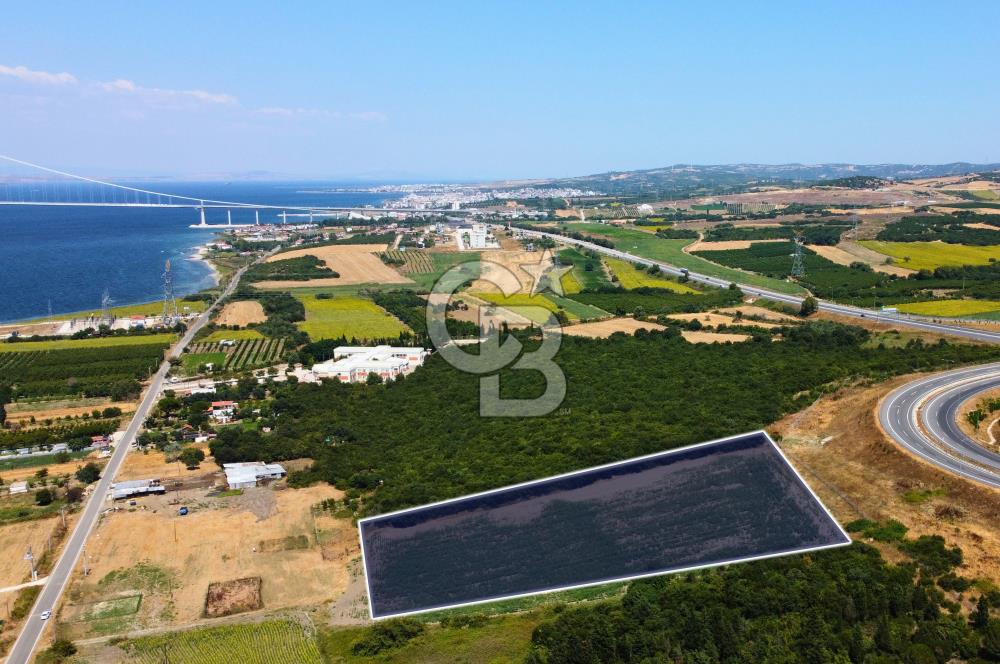 Çanakkale Lapseki Suluca'da Etrafı Orman Boğaz Manzaralı Arazi