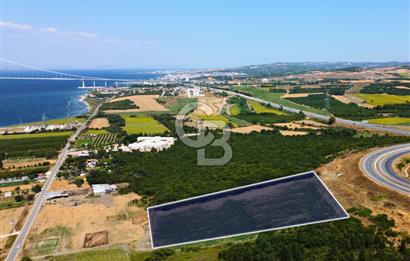 Çanakkale Lapseki Suluca'da Etrafı Orman Boğaz Manzaralı Arazi