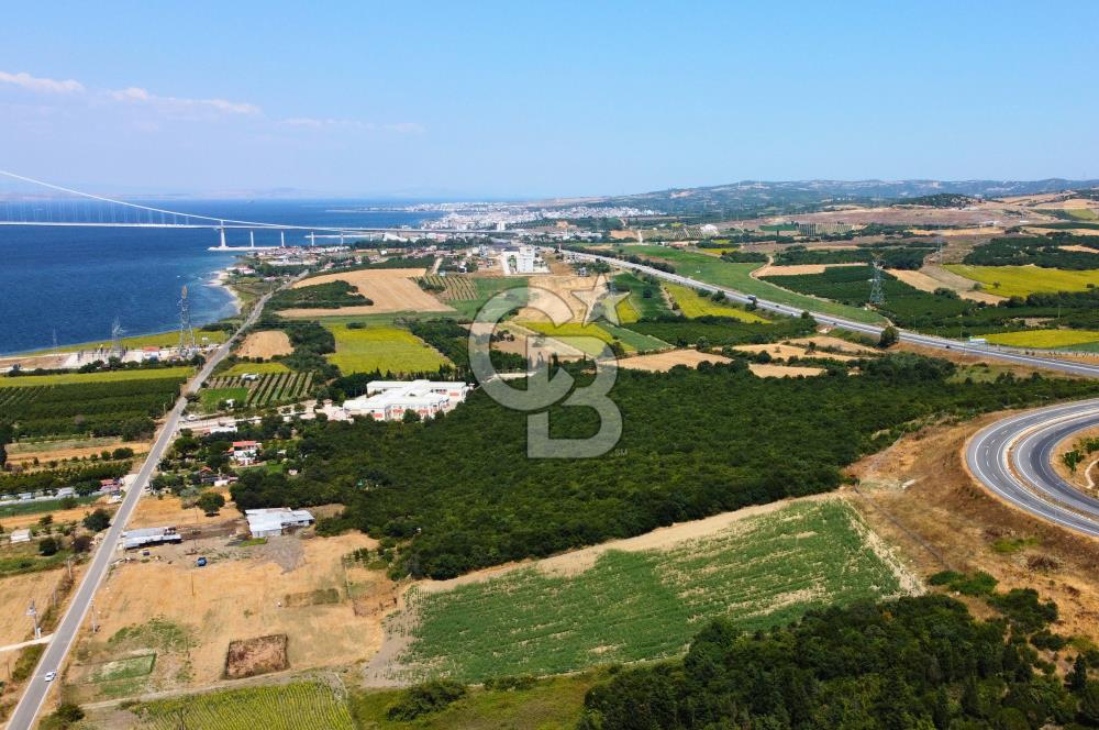 Çanakkale Lapseki Suluca'da Etrafı Orman Boğaz Manzaralı Arazi