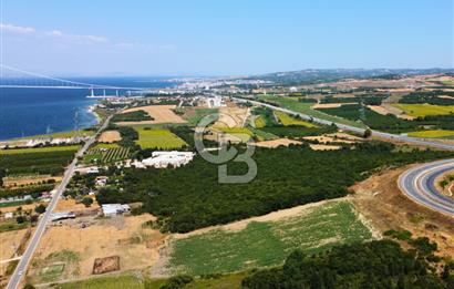 Çanakkale Lapseki Suluca'da Etrafı Orman Boğaz Manzaralı Arazi