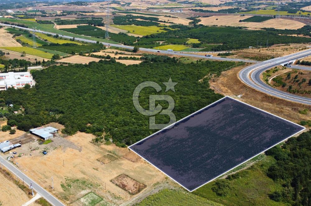 Çanakkale Lapseki Suluca'da Etrafı Orman Boğaz Manzaralı Arazi