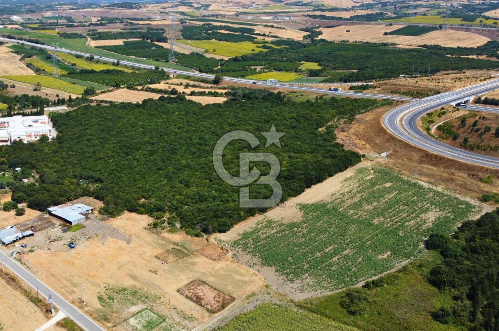 Çanakkale Lapseki Suluca'da Etrafı Orman Boğaz Manzaralı Arazi
