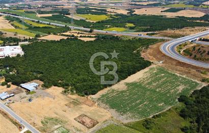 Çanakkale Lapseki Suluca'da Etrafı Orman Boğaz Manzaralı Arazi