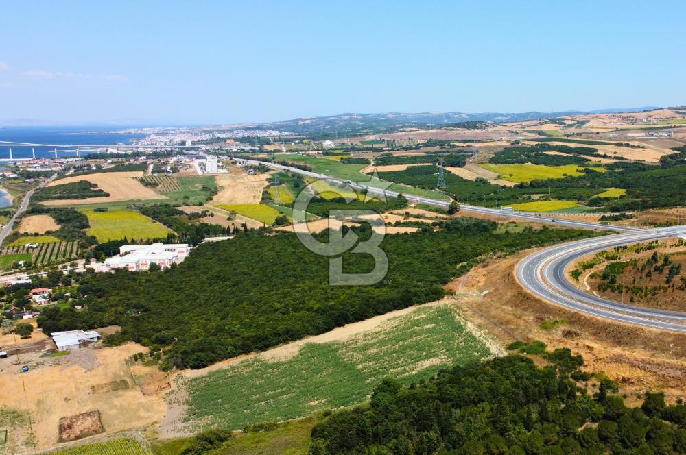 Çanakkale Lapseki Suluca'da Etrafı Orman Boğaz Manzaralı Arazi