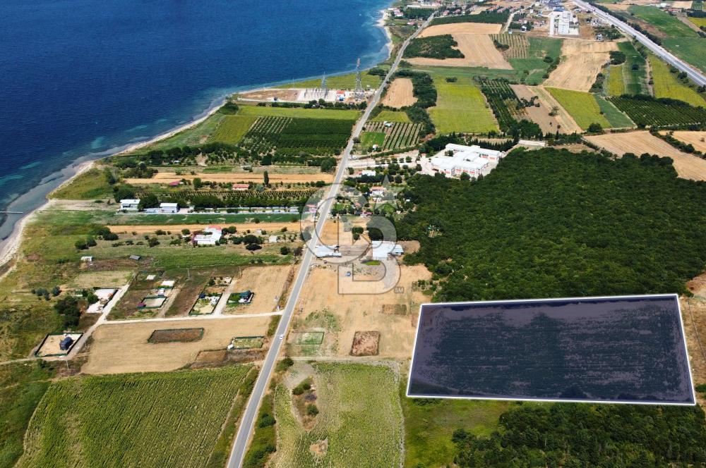 Çanakkale Lapseki Suluca'da Etrafı Orman Boğaz Manzaralı Arazi