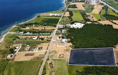 Çanakkale Lapseki Suluca'da Etrafı Orman Boğaz Manzaralı Arazi