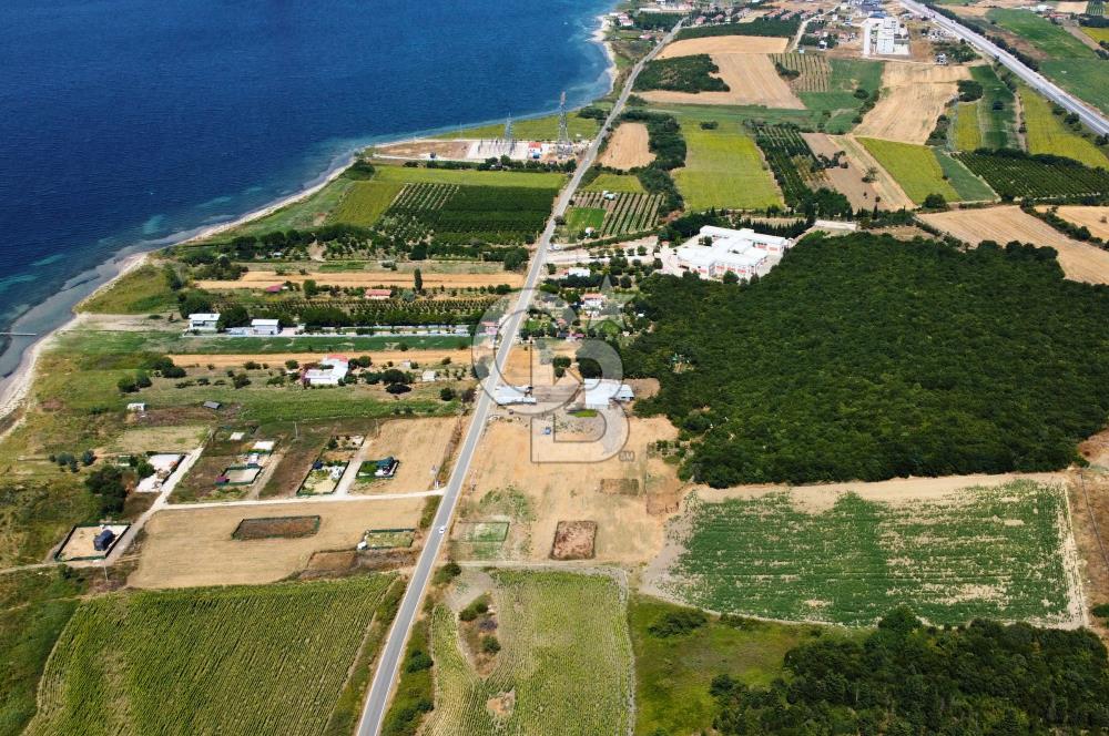 Çanakkale Lapseki Suluca'da Etrafı Orman Boğaz Manzaralı Arazi