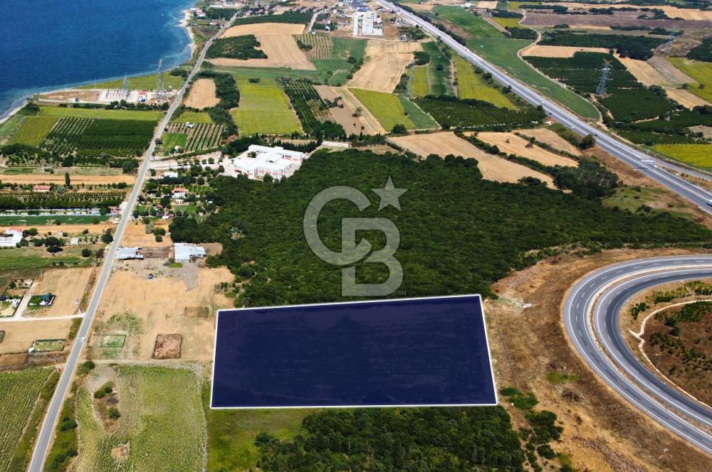 Çanakkale Lapseki Suluca'da Etrafı Orman Boğaz Manzaralı Arazi