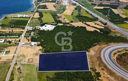 Çanakkale Lapseki Suluca'da Etrafı Orman Boğaz Manzaralı Arazi
