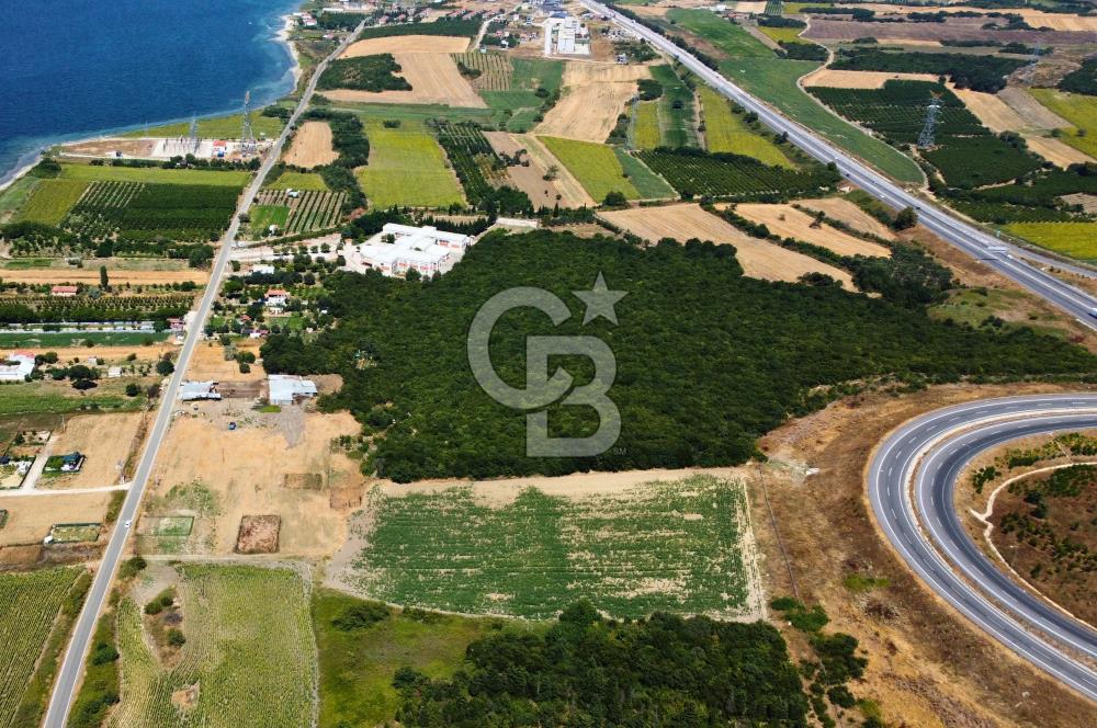 Çanakkale Lapseki Suluca'da Etrafı Orman Boğaz Manzaralı Arazi